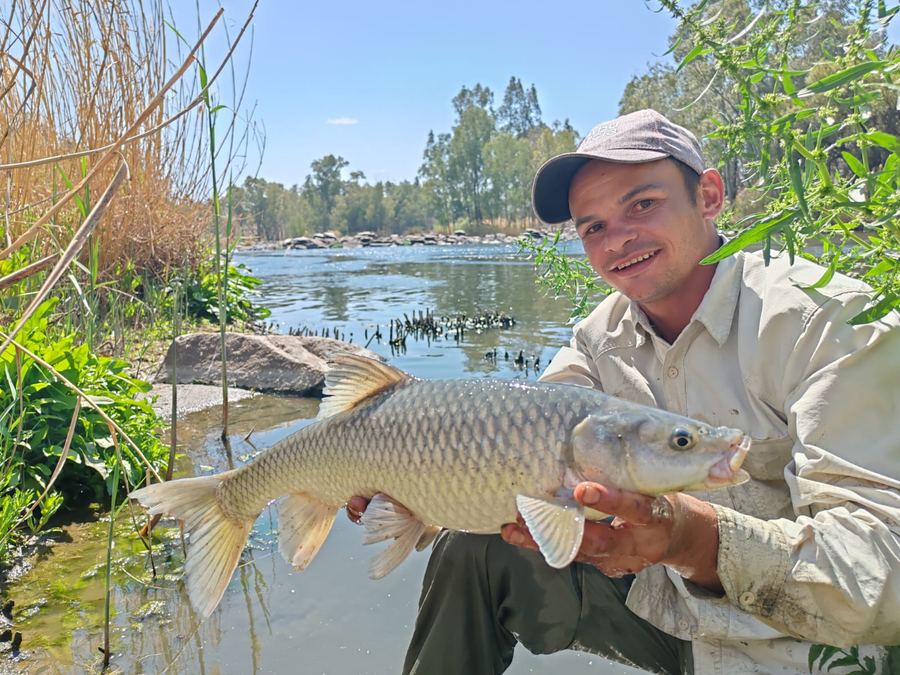 Angler holding a yellowfish at the river
